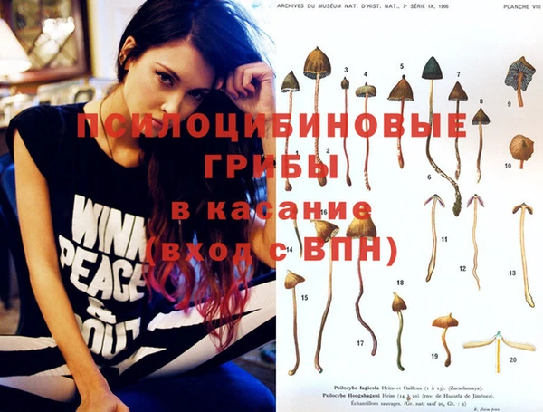 героин Богородицк