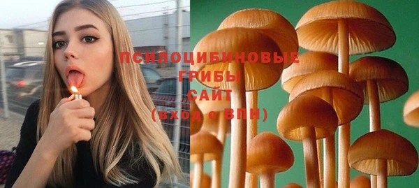 марки lsd Богданович