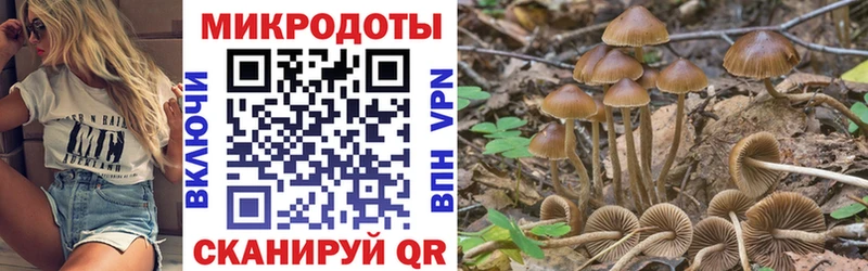 хочу наркоту  мега зеркало  Псилоцибиновые грибы Psilocybe  Славгород 
